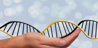 Leczenie niepłodności metodą in vitro