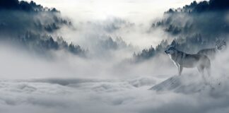 Jakie rękawice robocze zimowe?