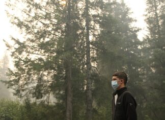 Jak oczyścić organizm z pasożytów i toksyn?