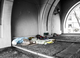 Jakie robaki mogą być w materacu?