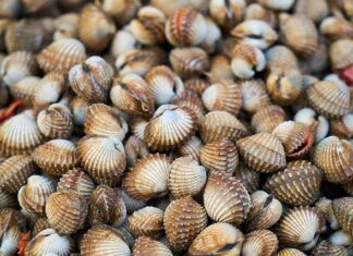 Czy łuszczyca jest przeciwwskazaniem do masażu?