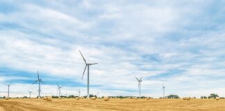 Jak prawidłowo się rolować?