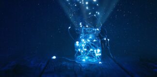 Jak wyglądają robaczki Kurzowe?