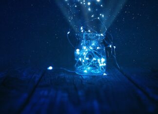 Jak wyglądają robaczki Kurzowe?