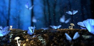 Jak działa magiczny ręcznik?