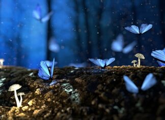 Jak działa magiczny ręcznik?