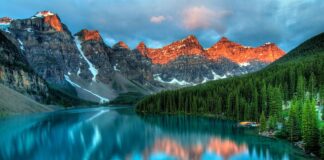 Co lepsze kamień czy roller?