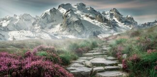 Jakie rękawice w góry?