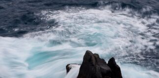 Od czego zależy cena roweru?