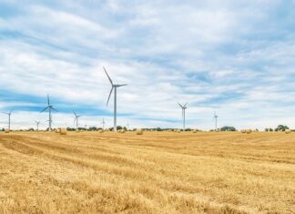 Jak często można się rolować?