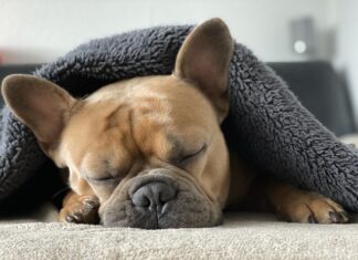 Czy przed rolowaniem trzeba się rozgrzać?