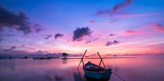 Jaki kolor rękawiczek?