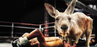 Czy nokaut jest groźny?