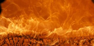 Jaka jest najlepsza marka rękawic bokserskich?