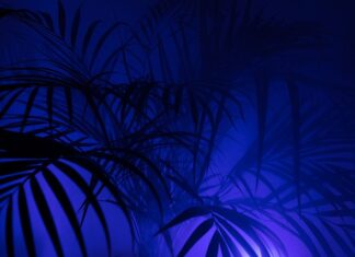 Jakie legginsy polecacie?