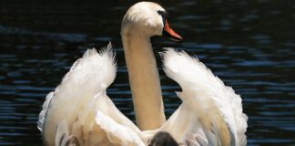 Co do fotelika zamiast kurtki?