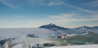 Ile kosztuje przejazd rowerem przez pasy?