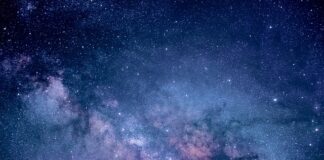 Co gryzie w nocy w domu?