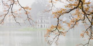 Co jest lepsze gua sha czy roller?