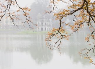 Co jest lepsze gua sha czy roller?