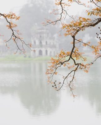 Co jest lepsze gua sha czy roller?