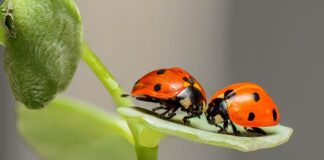 Czy w Biedronce są ręczniki?