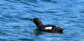 Co to jest jak drętwieją ręce?