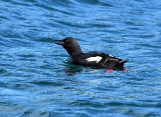 Co to jest jak drętwieją ręce?