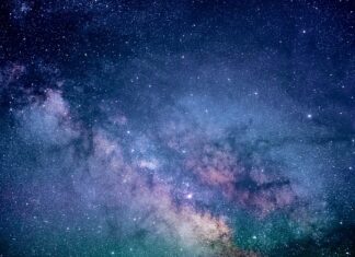 Ile kosztuje badanie na pasożyty?