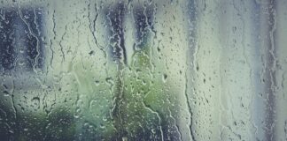 Jakie korki nosi ter Stegen?