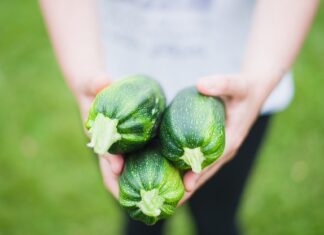 Jak kisić cukinię na zimę?