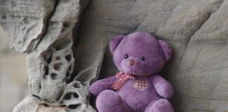 Ile cukru ma mus Kubuś?