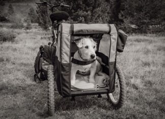 Gdzie można jeździć z przyczepka rowerowa?