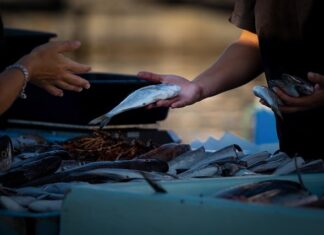 Czy można sprzedawać własne warzywa?