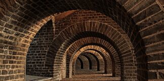 Jak przechowywać w piwnicy warzywa?