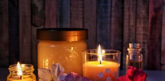 Co lepsze Pierzga czy pyłek pszczeli?